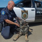 bodi-police-dog
