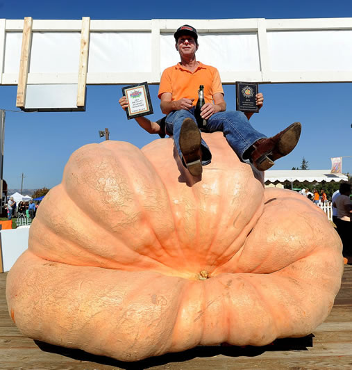 heaviest_pumpkin_Tim_Mathison
