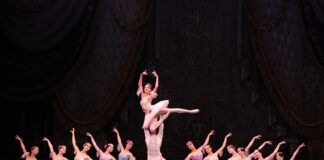 Лебединое озеро Фолсома