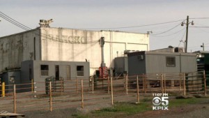 petaluma_rancho_slaughterhouse_022114-500x282