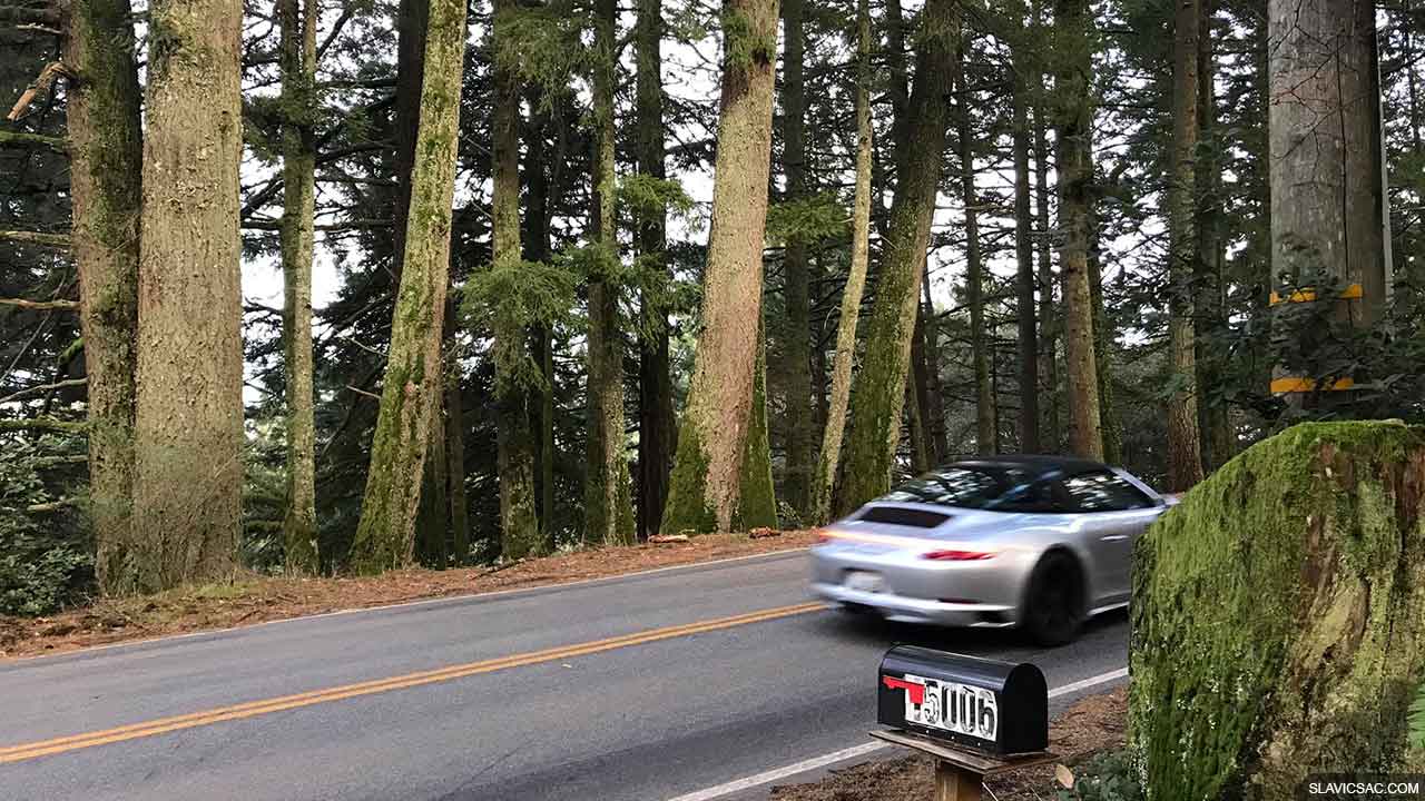 forest-woods-california