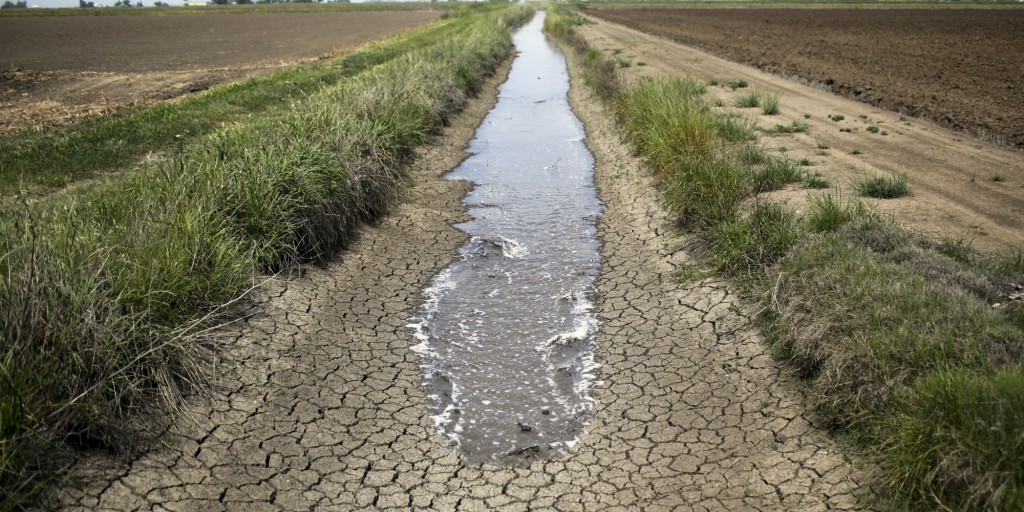 California Drought Water Auctions