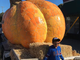 Pumpkin Festival