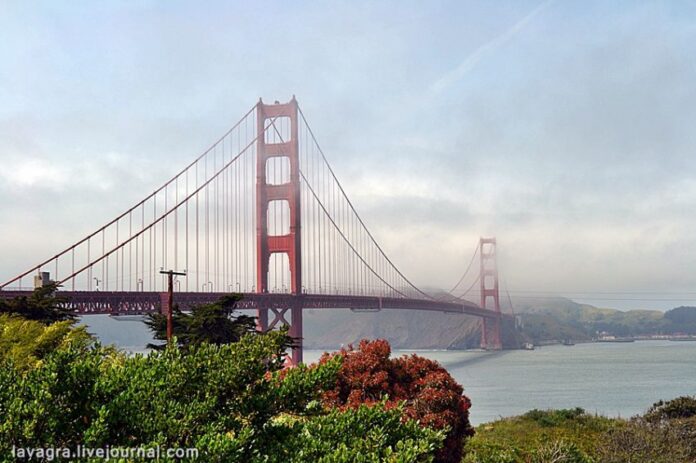 940b97cab94dafb225813b62dfc05c48