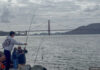 Golden gate