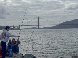 Golden gate
