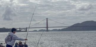 Golden gate