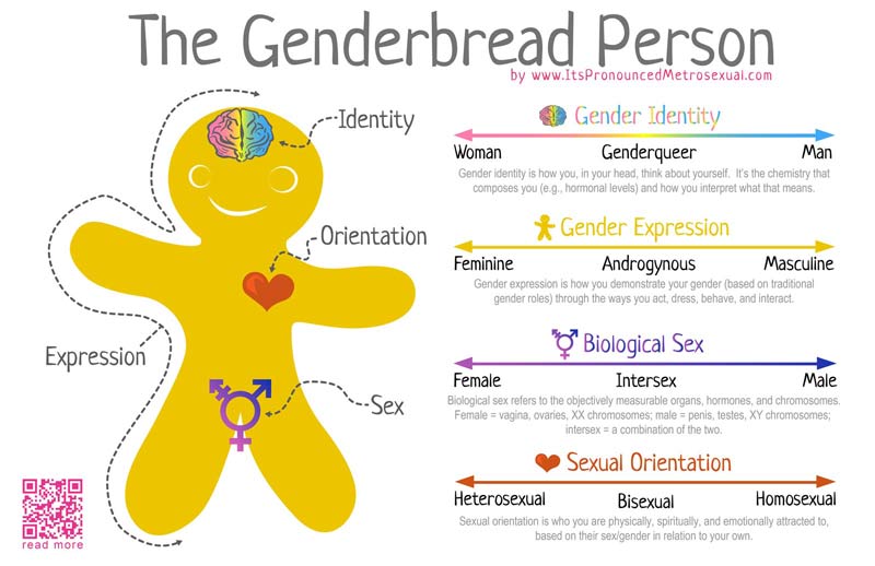 Genderbread-Person