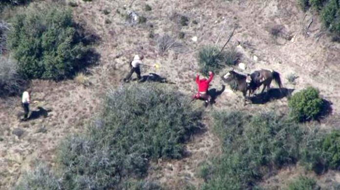 horseback-pursuit-california