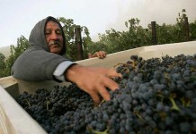 Россия запретила продажу калифорнийских вин