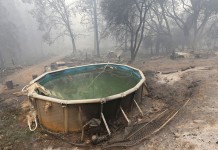 Пожары в Калифорнии оставили без крова 3 тыс. человек