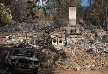 Пожары в Калифорнии – самые разрушительные за всю историю штата
