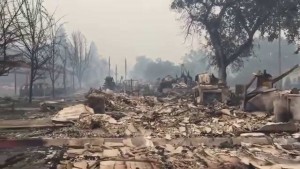 1 000 зданий уничтожено, 17 тыс. человек эвакуировано из-за пожара в округе Лейк