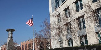 Какие штаты больше всего получают пользы от иммигрантов