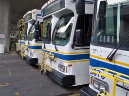 Bus