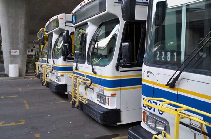 Bus