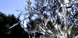 Погода в Калифорнии