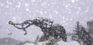 снегопад в Калифорнии