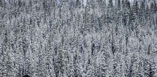 Погода в Сакраменто на сегодня