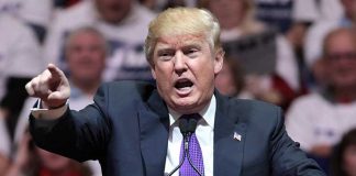 Трамп отказался от идеи массовой депортации иммигрантов