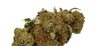 Легализация марихуаны