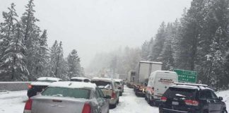 Снег в Сьерре