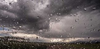 дожди в Сакраменто