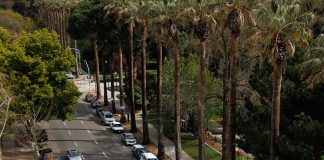 Столица Калифорнии Сакраменто