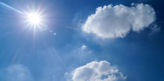 День Благодарения