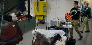 Зоопарк Сакраменто