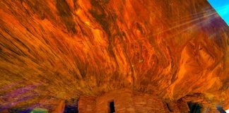 Юты и Невады