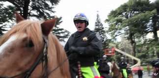 В Сакраменто требуют прогнать Путина из Белого дома в Вашингтоне