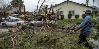 Чрезвычайное положение в Калифорнии
