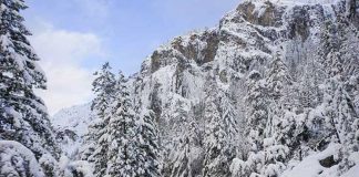 засуха в Калифорнии