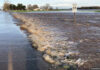Oroville
