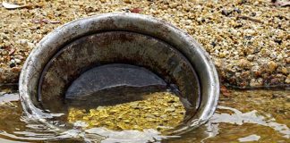 Золотая лихорадка в Калифорнии