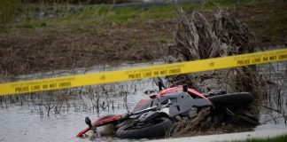 Питер Шульга