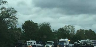 Михаил Шмайдий