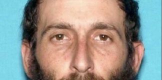 Алексей Шелест