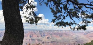 Аризона снова закрывается на карантин Национальные парки и заповедники США