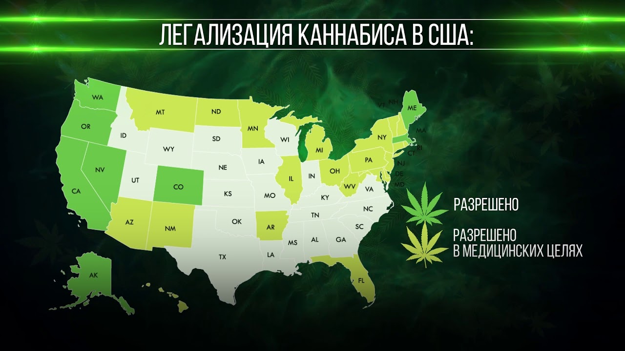 Марихуана легализация в сша чем отличается дикая конопля