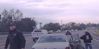 стэн семенюк