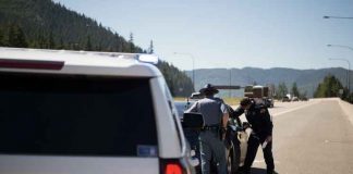 Дмитрий Лежнин