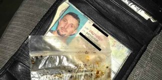 Александр Артищук