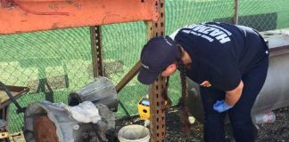 Департамент автотранспорта Калифорнии