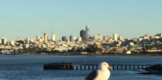 Власти Сан-Франциско поддержат работников, пострадавших от COVID-19 San Francisco