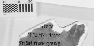 музей библии в вашингтоне