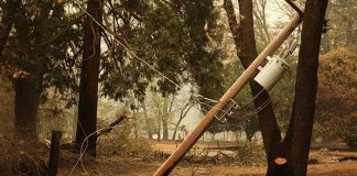 Дмитрий Медведев предложил США помощь в тушении пожаров