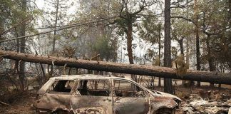 Помогите вместе с нами пострадавшим от пожара «Кемп»!