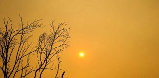 Власти сообщили о возможном радиоактивном загрязнении в Парадайз